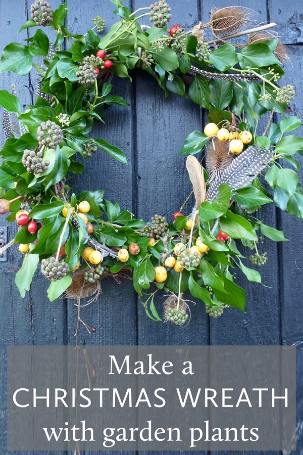 how to make a Christmas wreath with garden plants