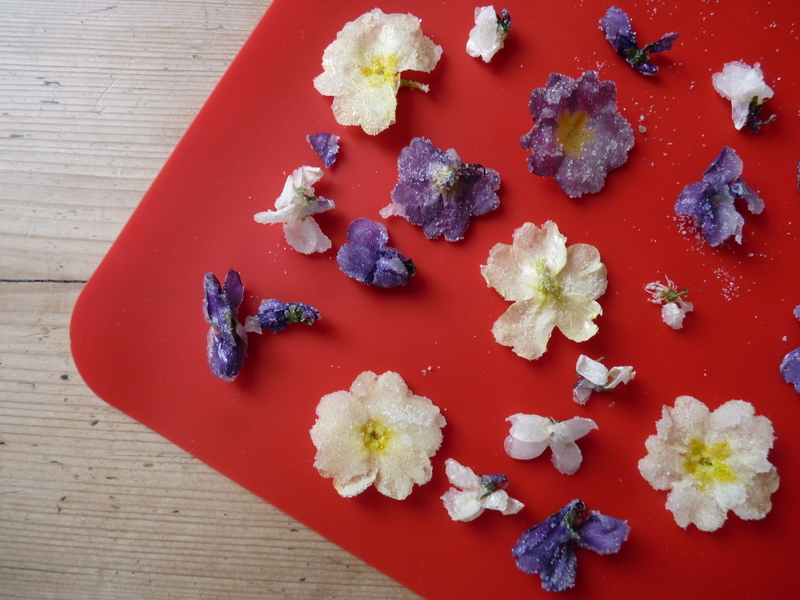 crystallised violets, polyanthus and blackthorn flowers