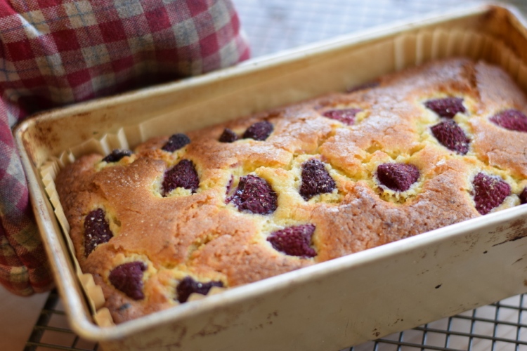 raspberry loaf cake