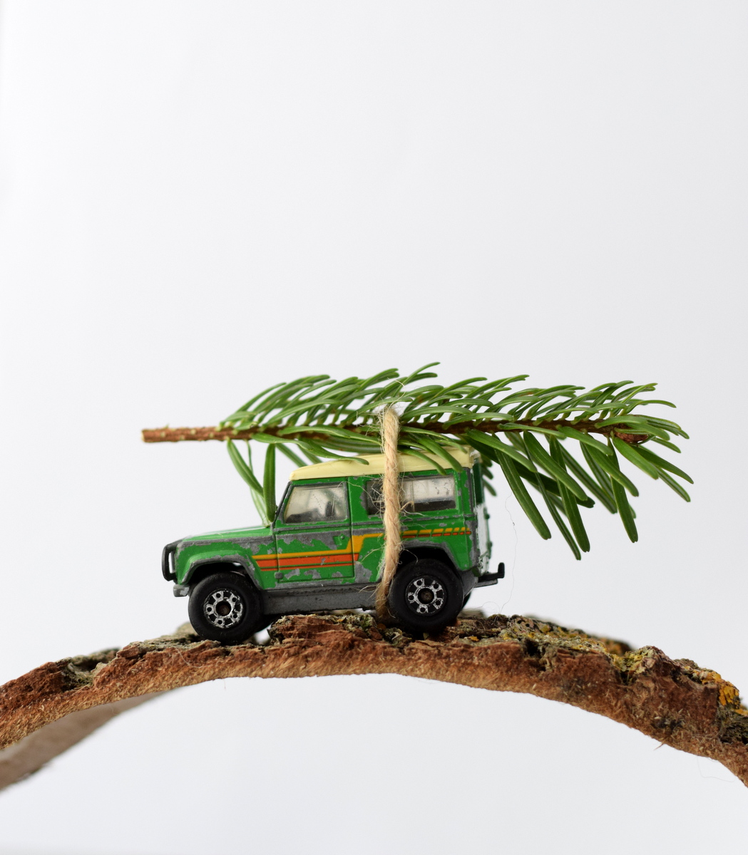 Carrying home the Christmas Tree on a Land Rover